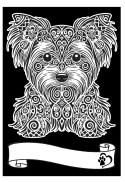 Kolorowanka Welw. A4 Yorkshire Terrier